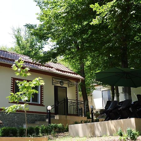 Hotel Selena à Qusar Extérieur photo