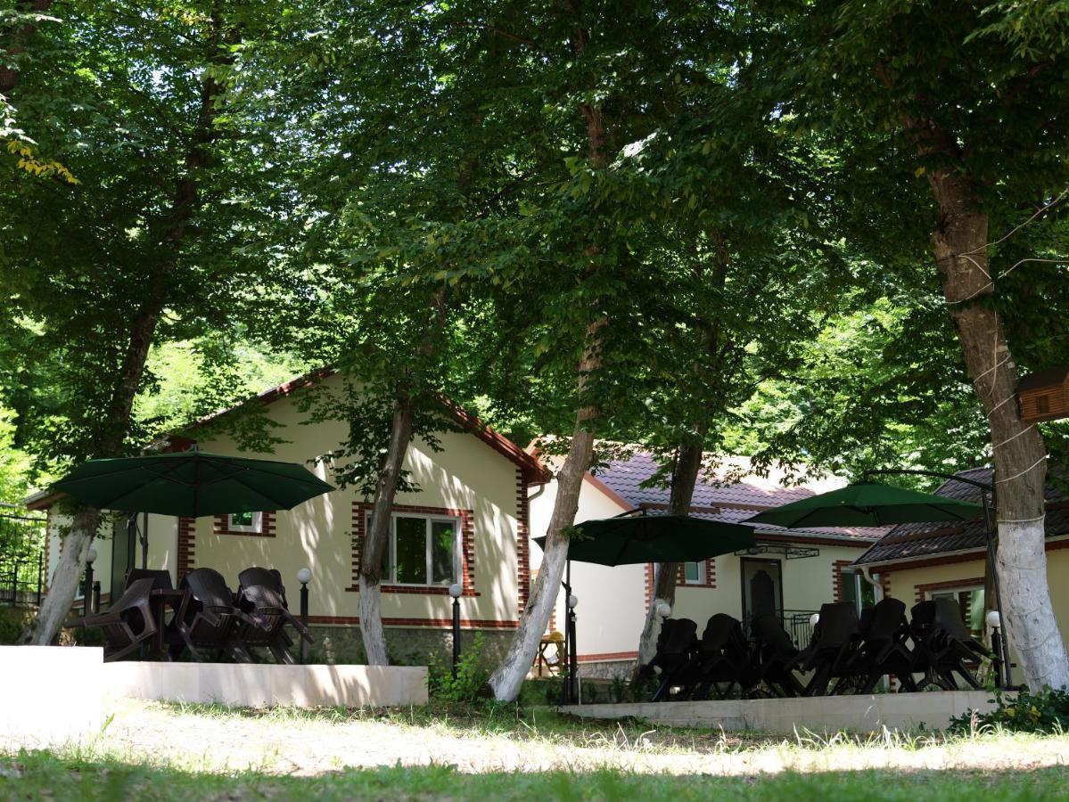 Hotel Selena à Qusar Extérieur photo